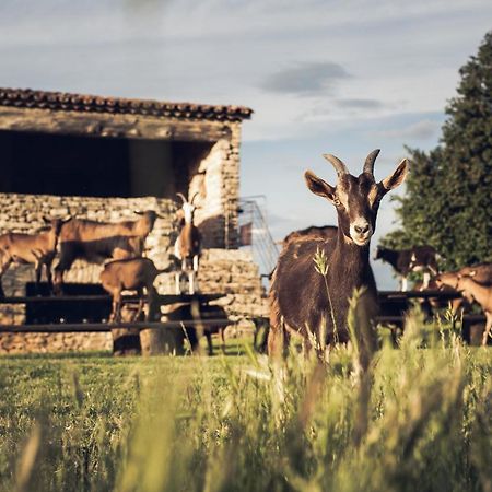 Le Domaine Du Castellas Sivergues Zewnętrze zdjęcie