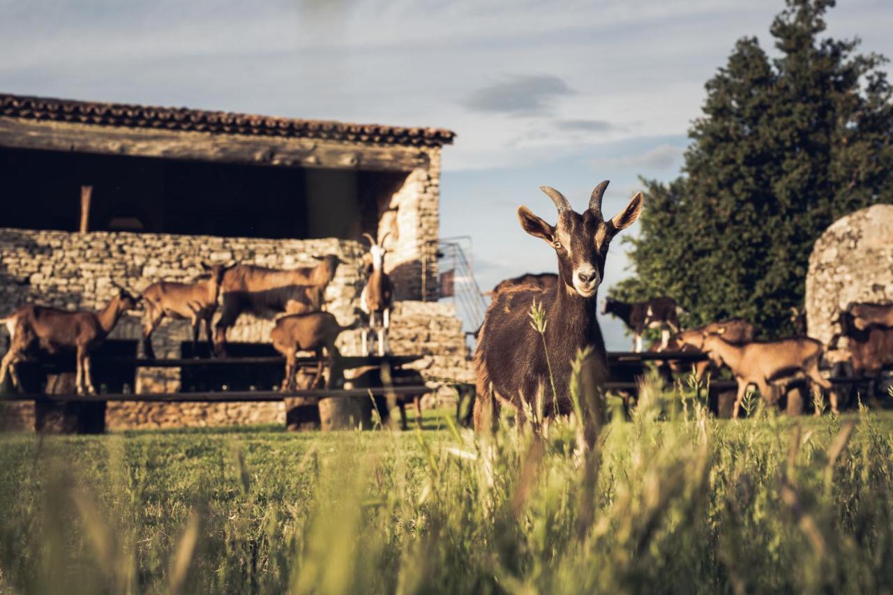 Le Domaine Du Castellas Sivergues Zewnętrze zdjęcie